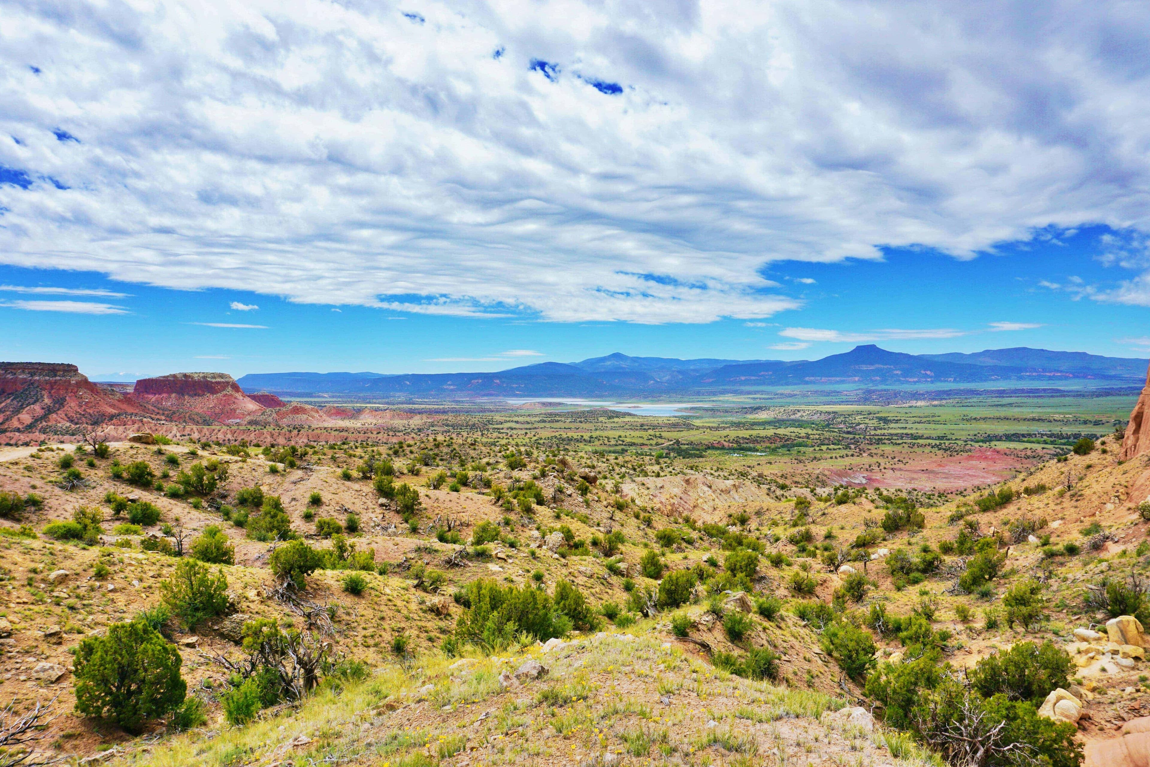 New Mexico Car Shipping Services