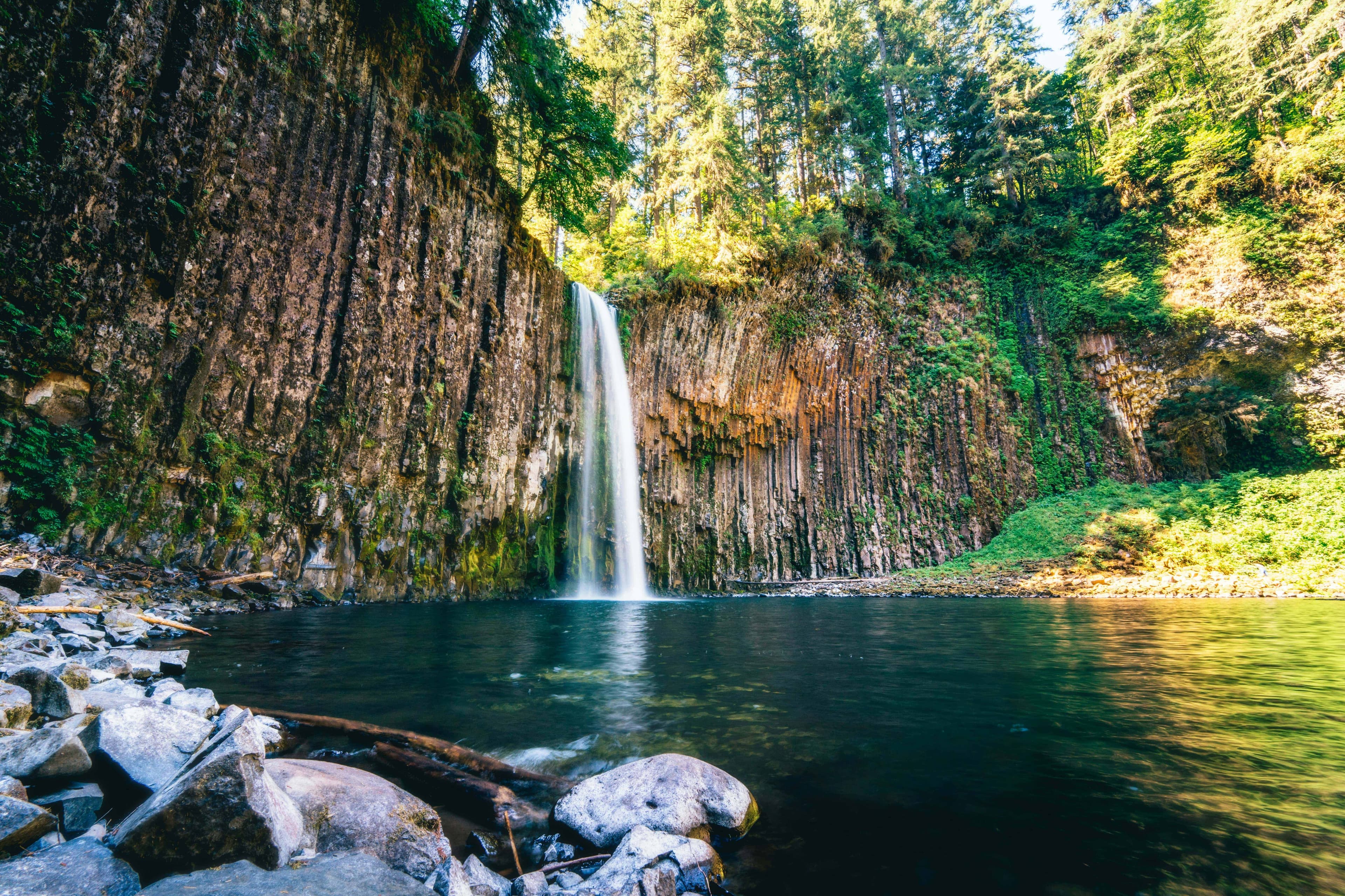 Oregon Car Shipping Services