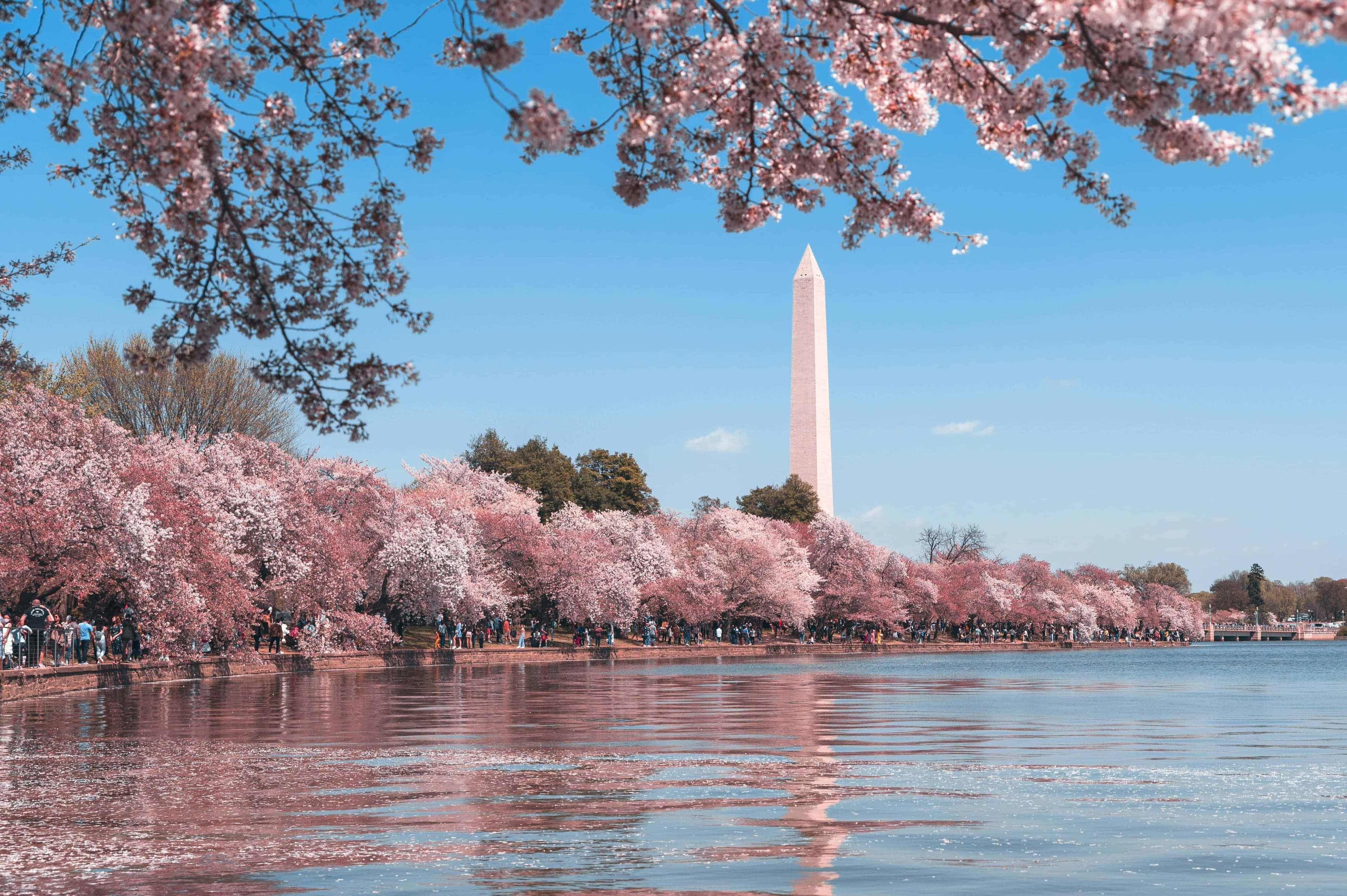 Washington Car Shipping Services