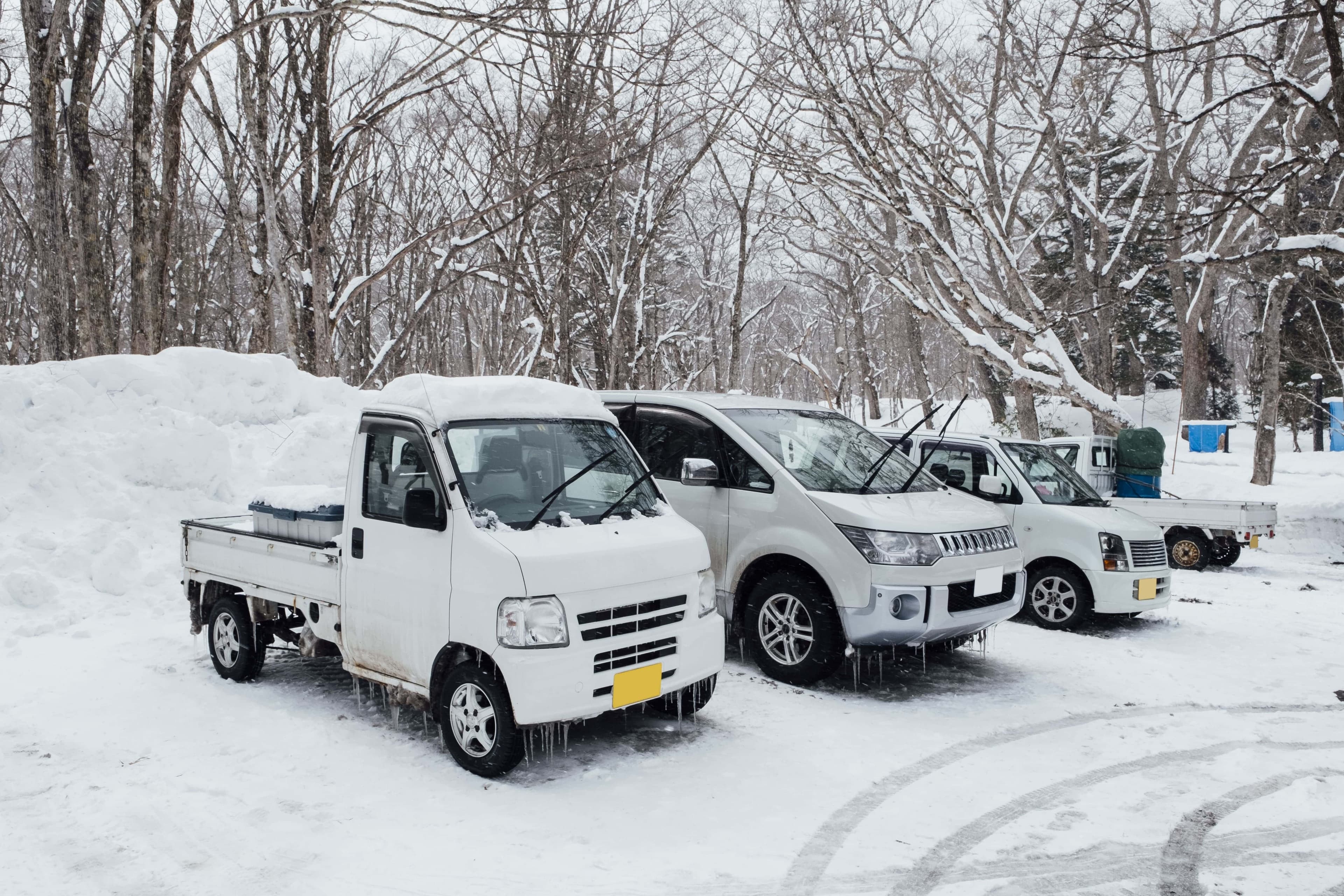 Snowbird Auto Transport — Ship Your Car While You Fly
