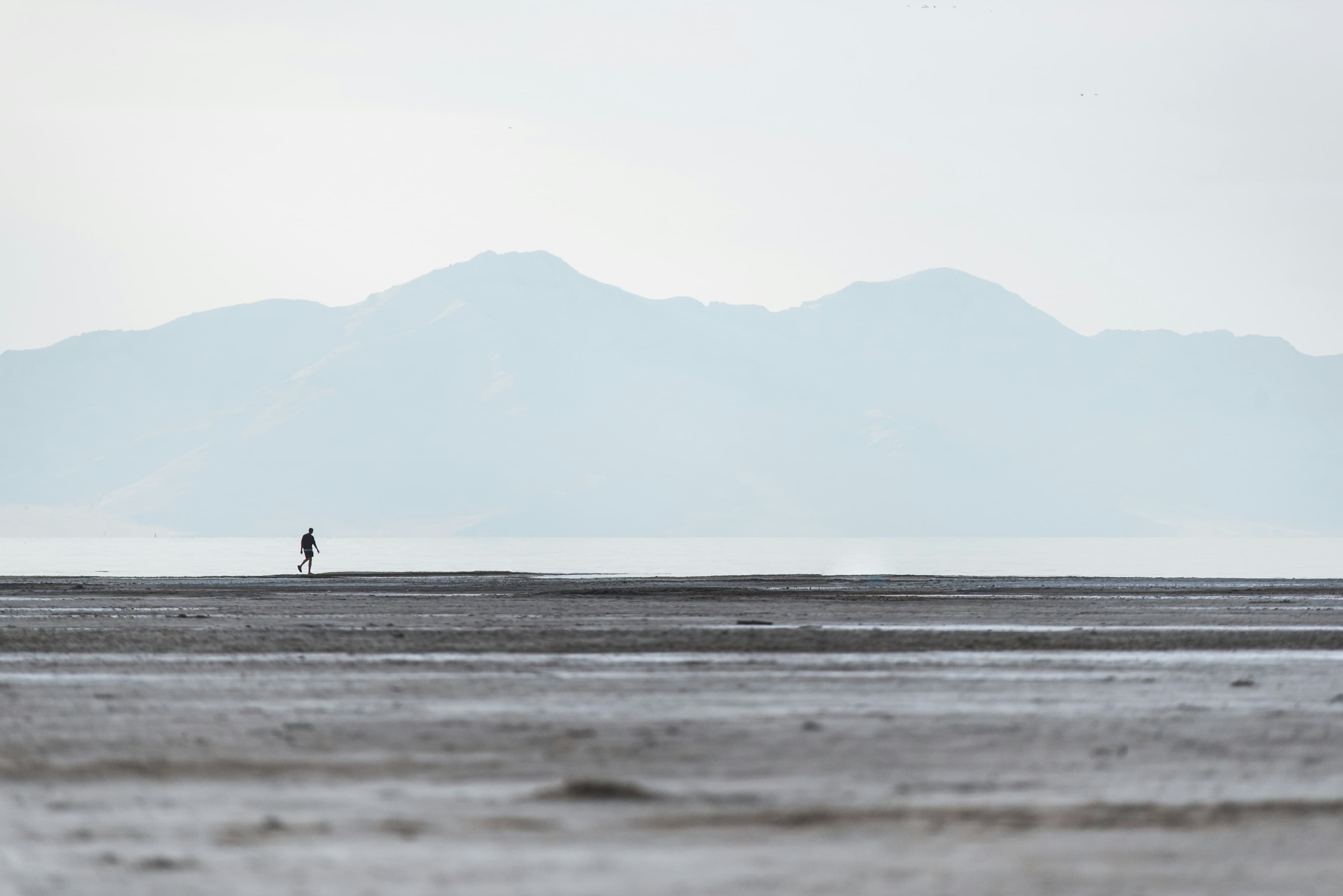 Salt Lake City to Las Vegas Car Shipping